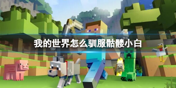 我的世界教你驯服骷髅 我的世界怎么才能驯服骷髅