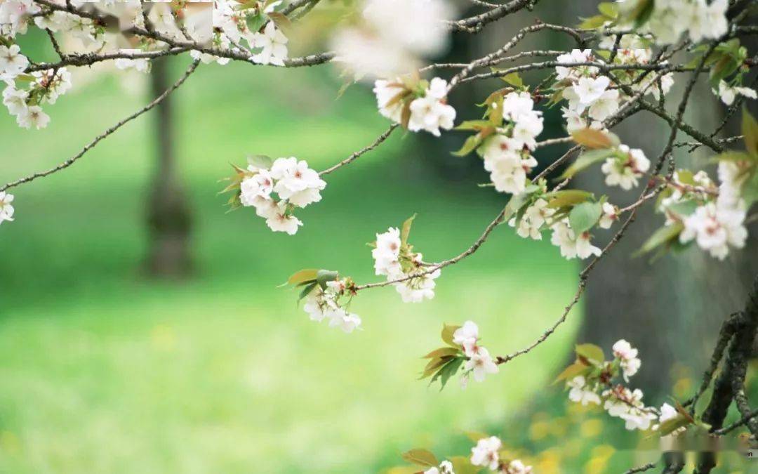 拥抱春天，勇于担当