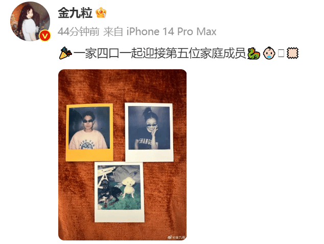 金靖生了孩子吗 金靖承认有男友新闻