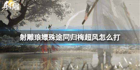 射雕英雄传梅超风大战全真七子 射雕英雄传梅超风和朱茵黄蓉相认