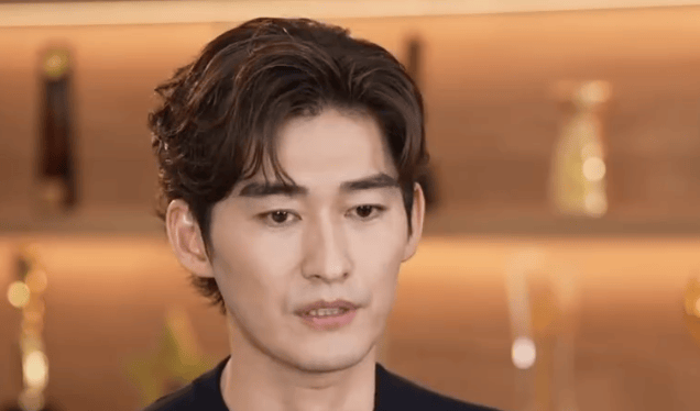 张翰沧桑 张翰年轻时霸道总裁