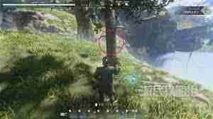 雾锁王国中刺荨麻怎么获得 雾锁王国刺荨麻获取攻略