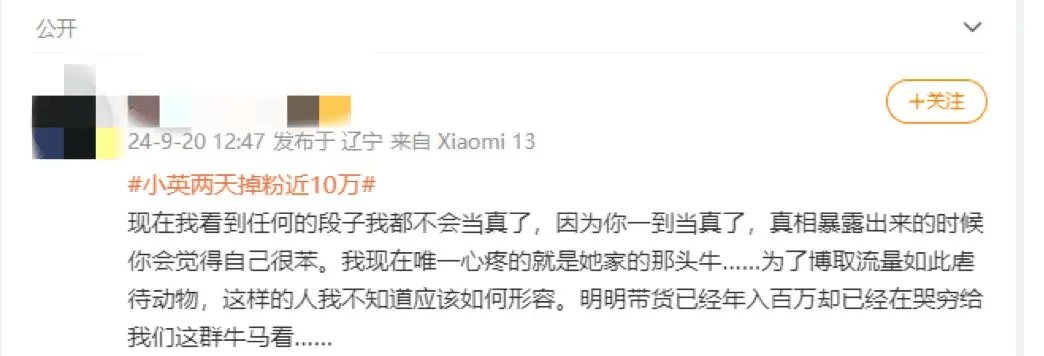 网红小英一家回应网友质疑 媒体评网红小英疑剧本式卖惨