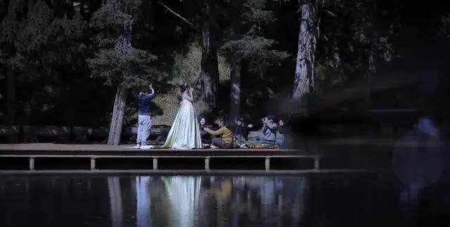 李子柒刺绣图案大全 李子柒绣牡丹花