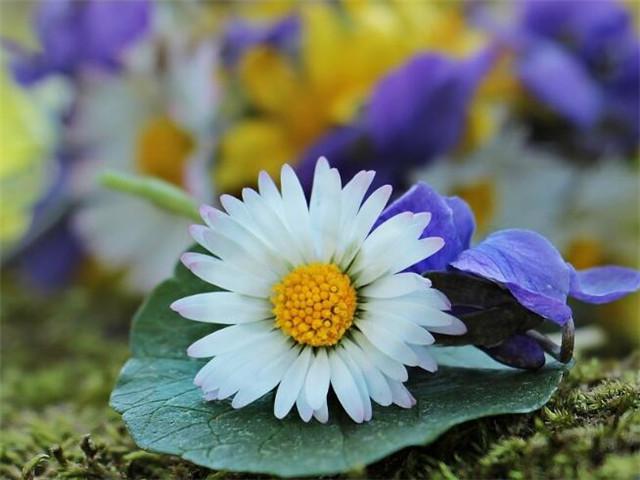 人生就是不断的选择和取舍 人生有短有长的路自己选择