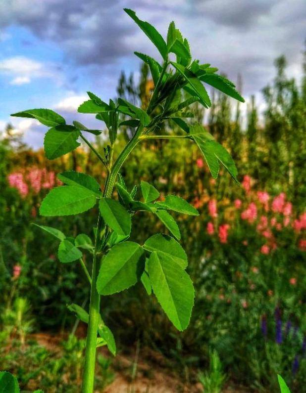 人到老年少纠结 人生少纠结