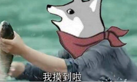 摸鱼带师是什么梗？ 摸鱼带师梗意思出处了解一下