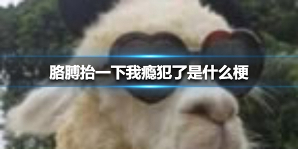 胳膊抬一下我瘾犯了什么梗？ 胳膊抬一下我瘾犯了梗意思出处介绍