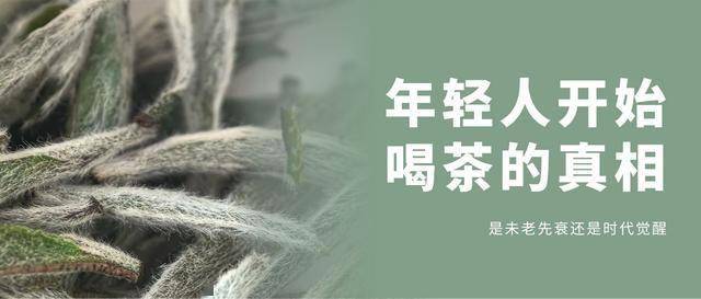年轻人开始喝茶的真相：是未老先衰还是时代觉醒？