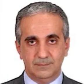 埃及外交官：金砖国家为何势头正劲，西方没搞懂