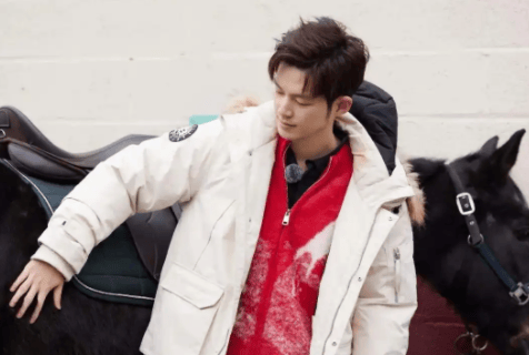 原创            真人秀里“好丈夫”人设：从难演到难辨