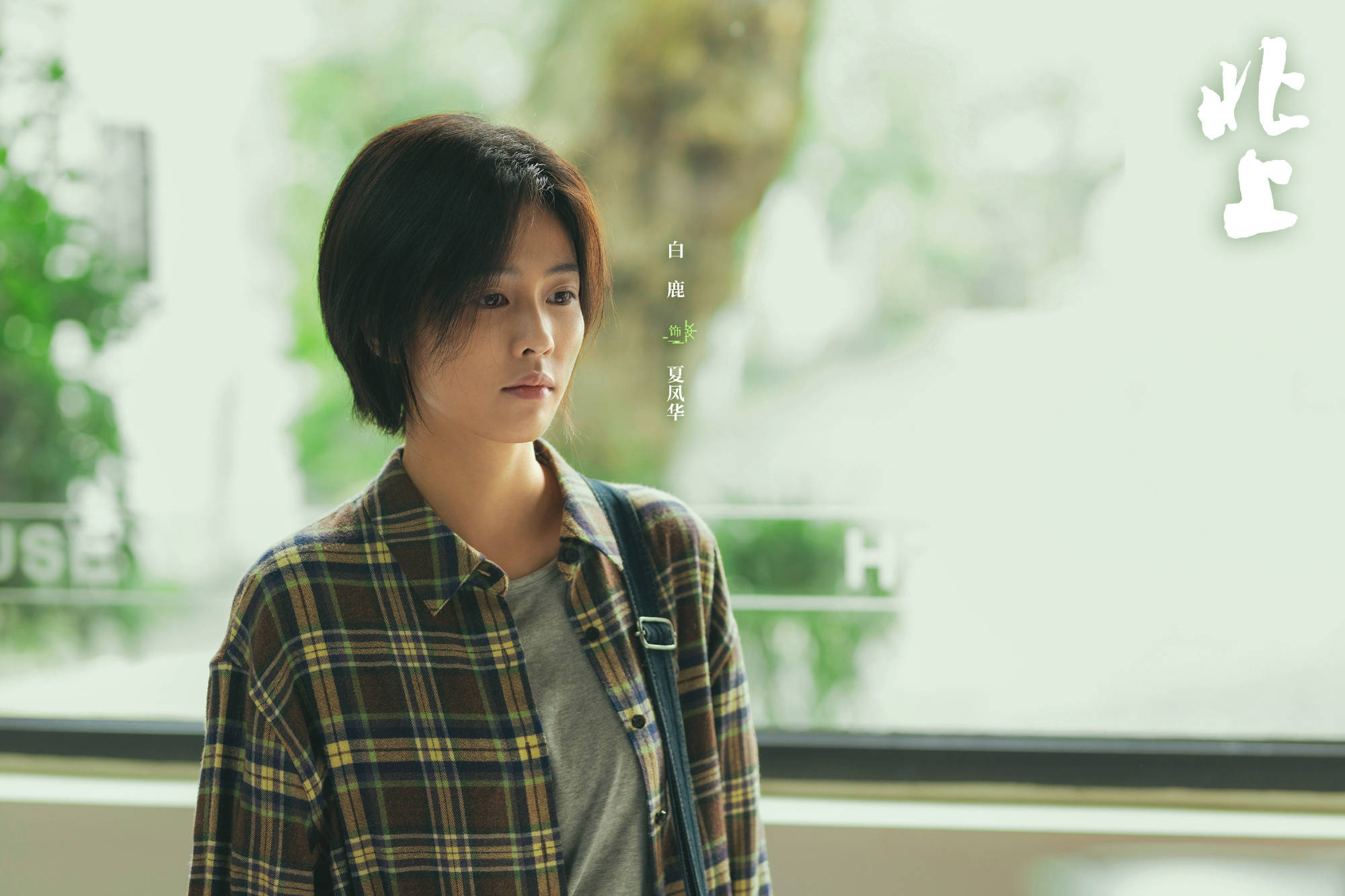 原创            《北上》8集过后，从偷瓜偷油偷煤，到搞钱搞演习，要渐入佳境吗