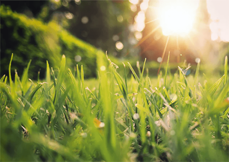 人生要少点遗憾