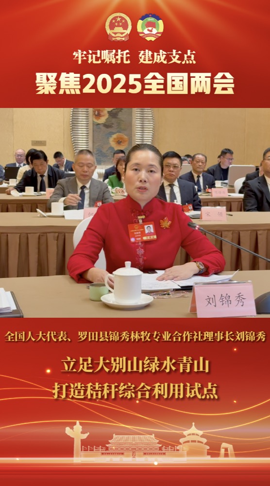 刘锦秀：立足大别山绿水青山 打造秸秆综合利用试点