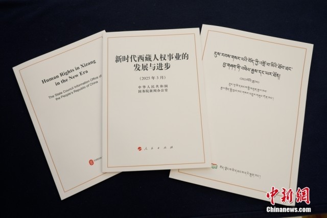 以发展促人权 西藏经济社会权利保障水平全面提升