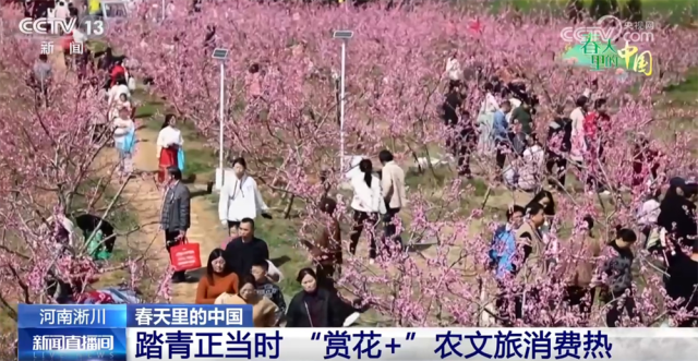 各地抓住“赏花流量”将其转化为“文旅消费增量” 农文旅市场掀热潮