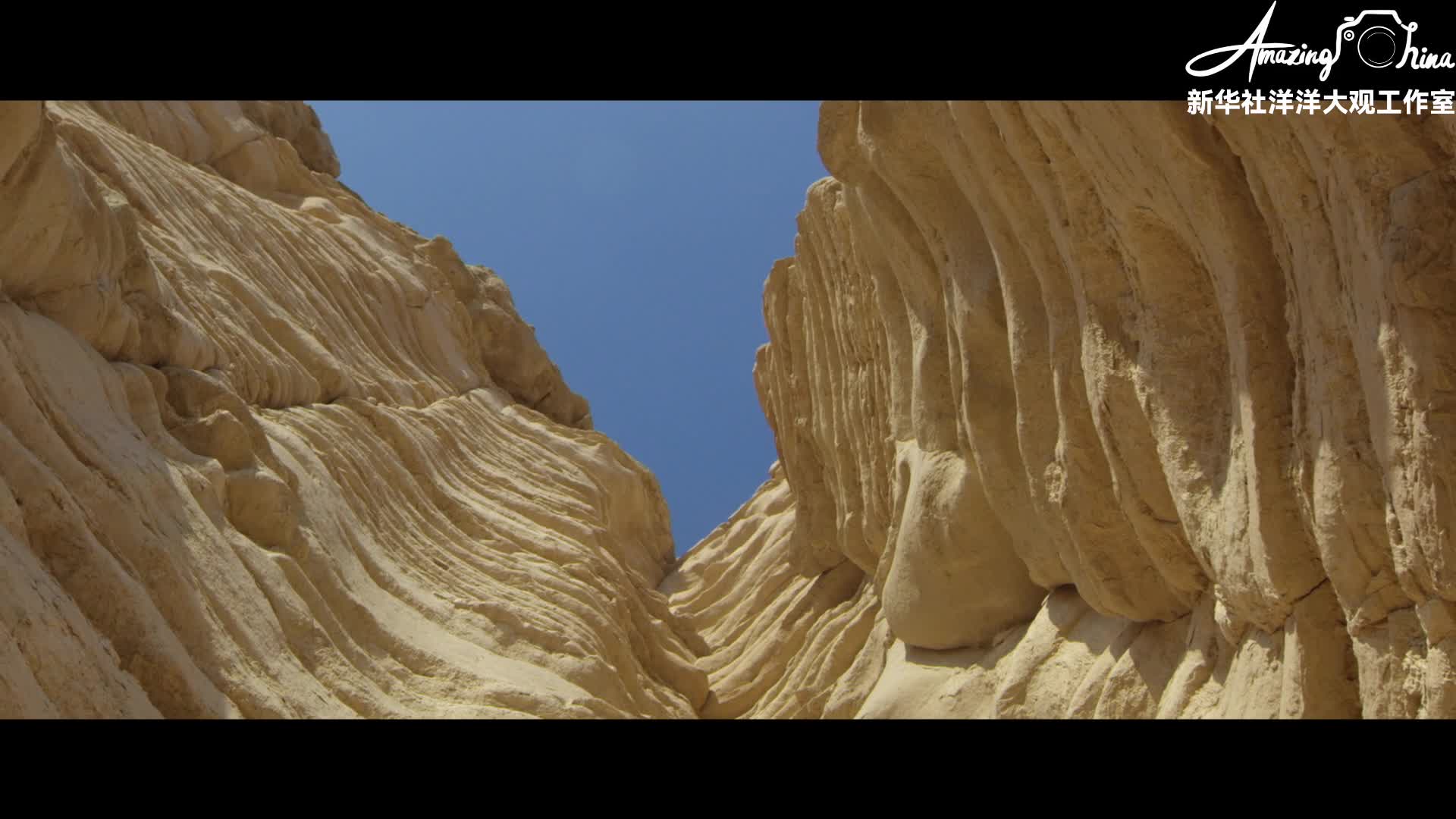 “风”“光”无限 中阿共绘绿色“一带一路”