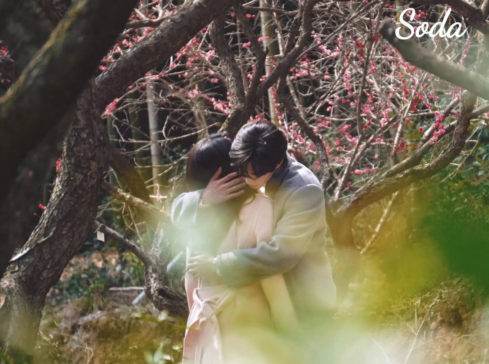 宋威龙赵今麦梅林拥抱浪漫甜蜜 女方穿粉色大衣清新唯美