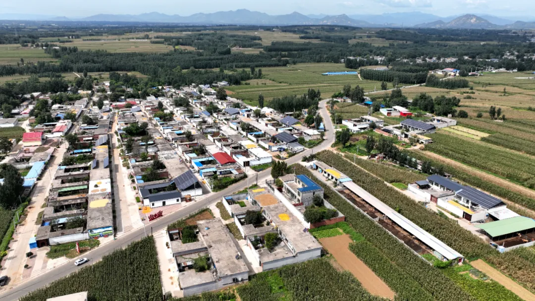 如何建 从哪建 靠谁建——代表委员为乡风文明建设建言