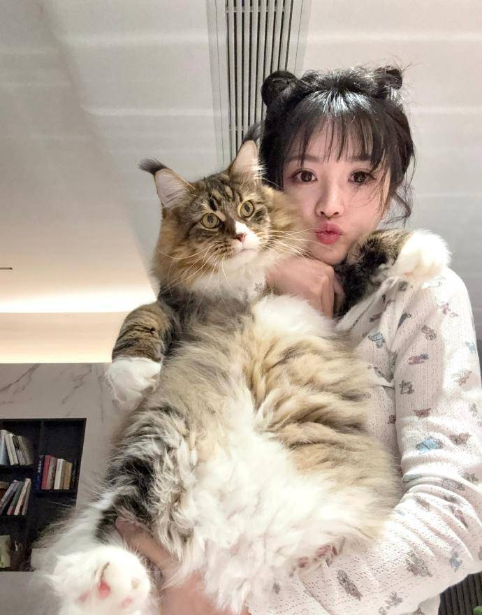 田曦薇当铲屎官的一天。