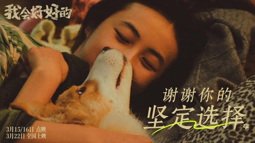 和猫猫狗狗一起在影院看电影，你愿意吗？