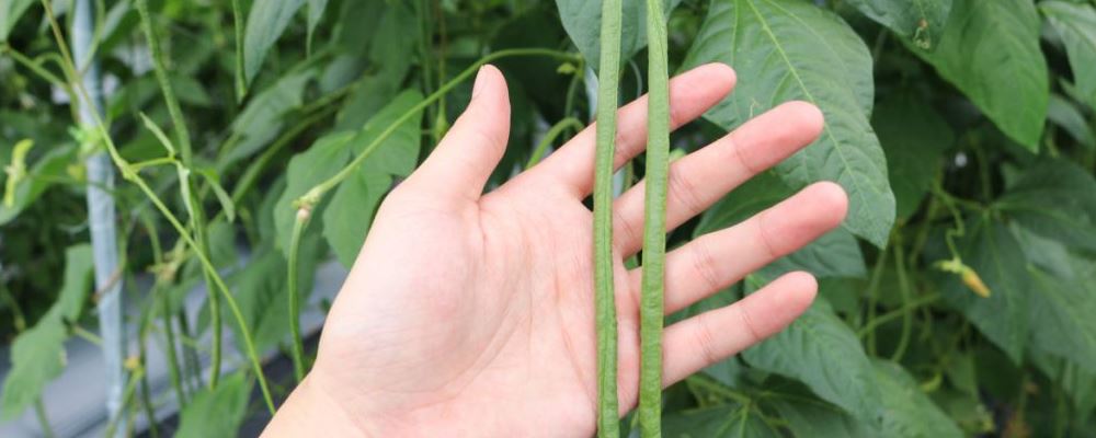 如何避免中风 中风怎么办 预防中风的方法