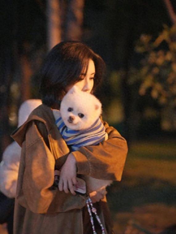 原创            《三线谜回》孟子义搭档王弘毅,师徒变CP,很有看点!