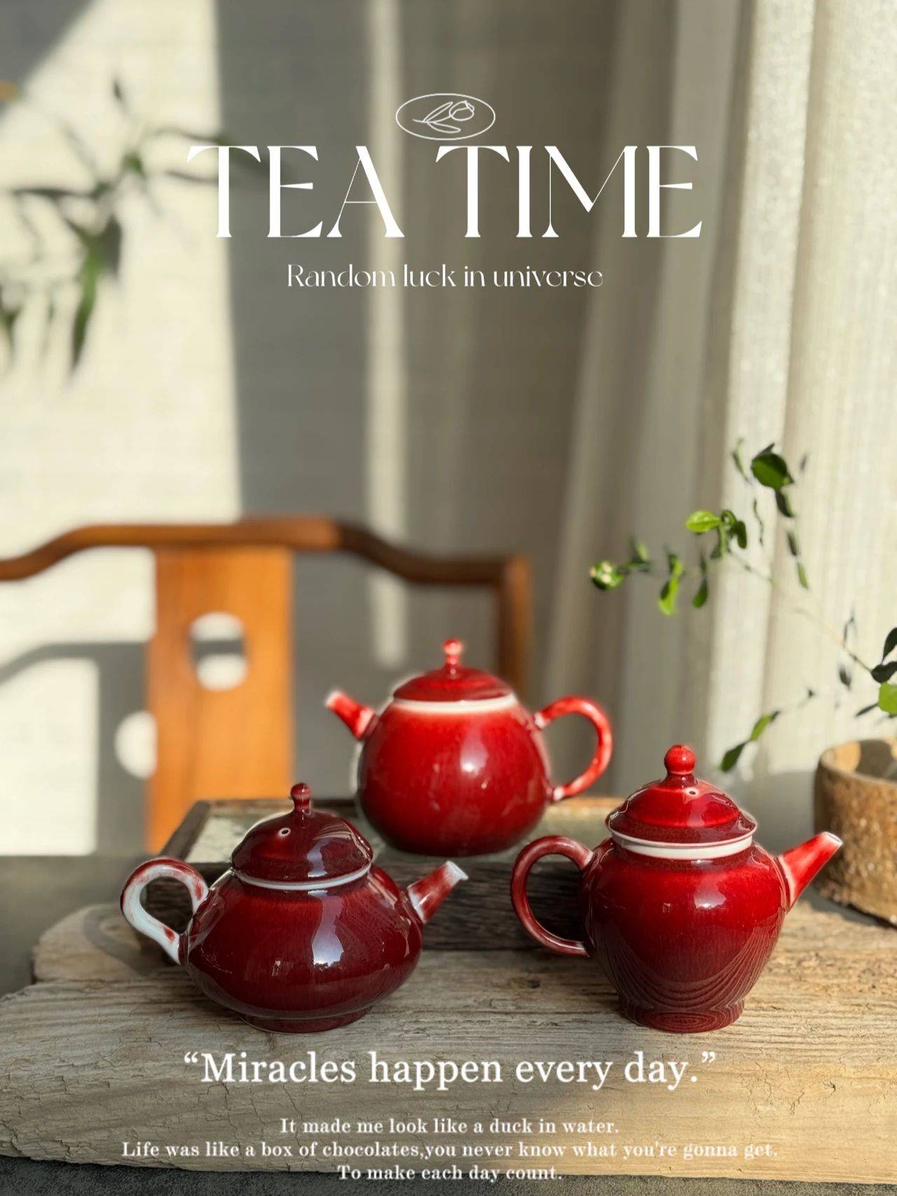 原创            入门级别的主人杯，什么价位合适？手把手教你买到物超所值的茶具