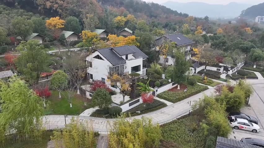 一叶牵两岸：台湾青年的径山茶缘