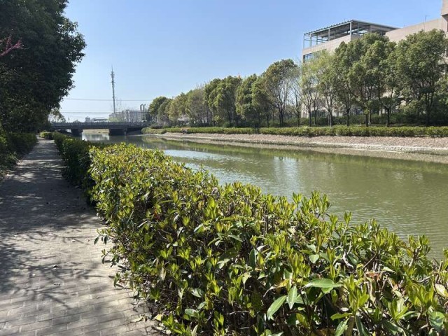 上海闵行一园区发生多起虐猫事件 警方已立案侦查