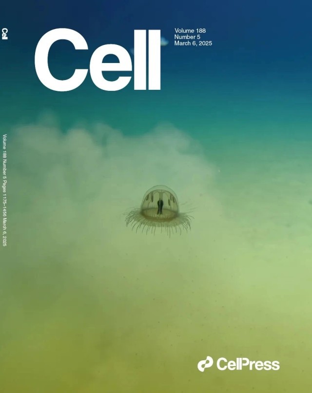 深渊里的动物什么样？《细胞》专辑报道我国深海生命科学研究