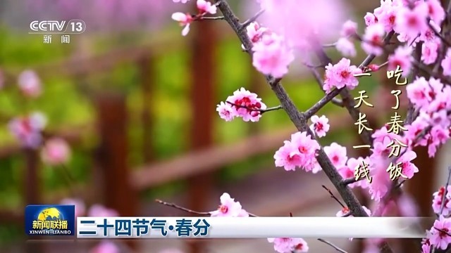 文化中国行丨二十四节气·春分 最是人间好时节