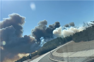 美国长岛多处野火已被扑灭 纽约进入紧急状态