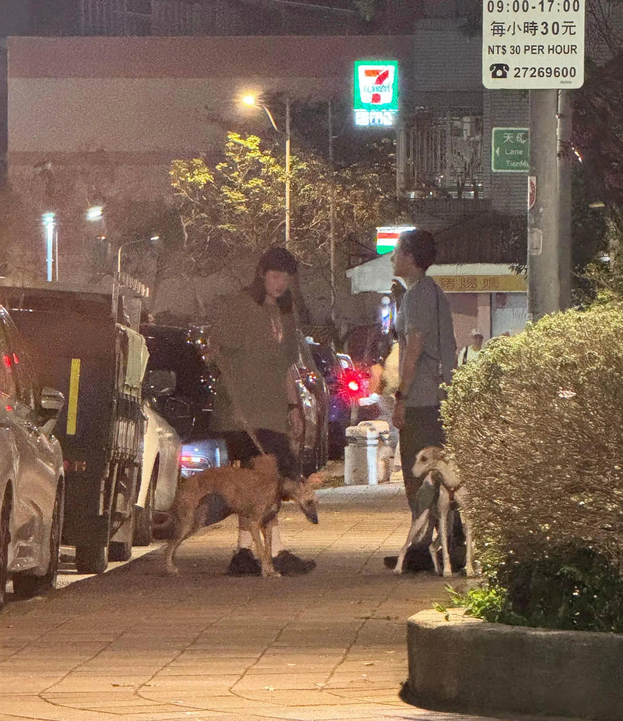 网友偶遇彭于晏与一名女生遛狗 女方身材高挑皮肤白皙