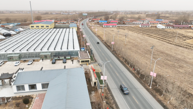 【乡路上，感受脉动中国】蝴蝶兰盛放 为乡村振兴“增色添香”