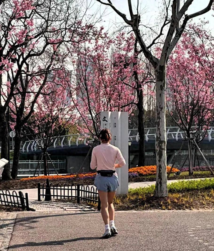 原创            52岁董卿在上海公园晨跑，小腿肌肉很结实，路人抓拍背影像似少女