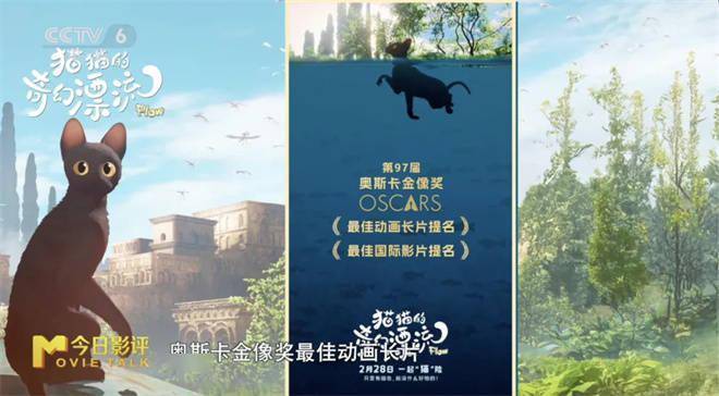 这部奥斯卡提名的电影 如何以动物寓言叩击人心?