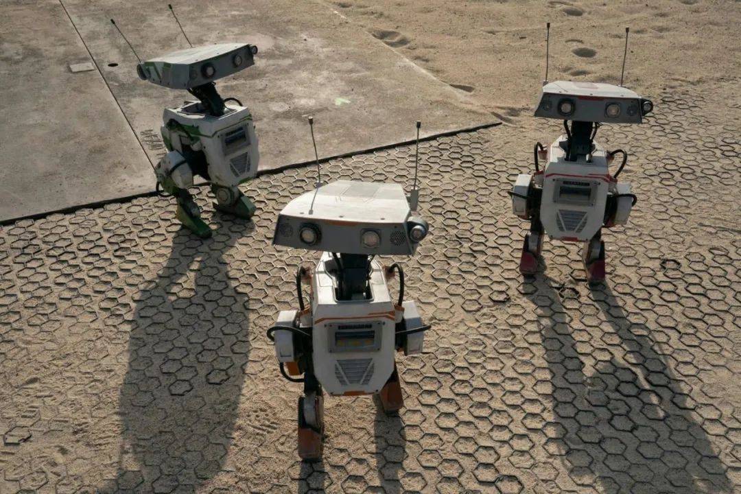 迪士尼王炸，这部9分神作终于定档