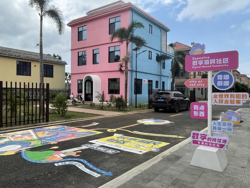 在椰城 这群年轻人找到了“数字候鸟”的新巢穴