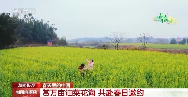 “花式”报春 万物复苏 各地春色醉游人