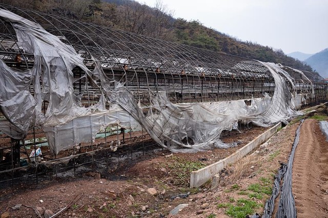 韩国山火已致30人死亡