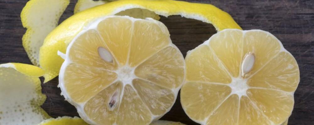 秋季养生多吃鱼，推荐五种适合吃的鱼