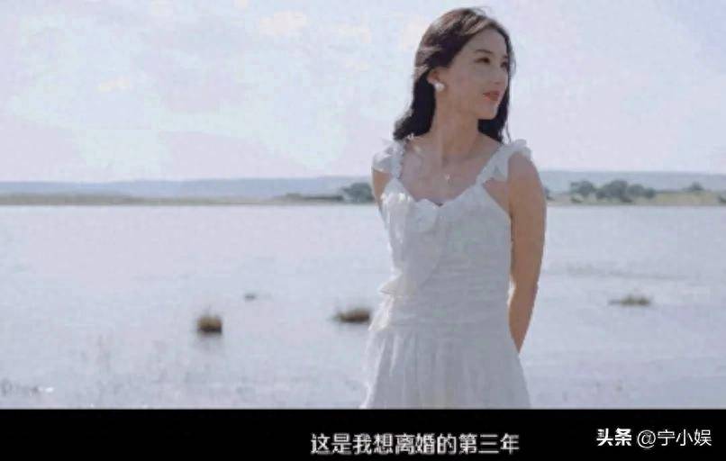 原创            这次，芒果台底裤被扒光，陈赫当初的话，终于有人信了