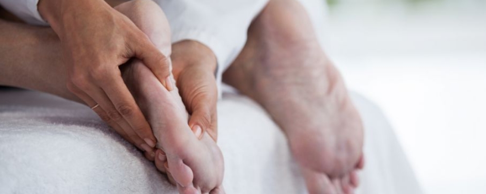 苦竹叶泡水喝究竟有哪些神奇功效？