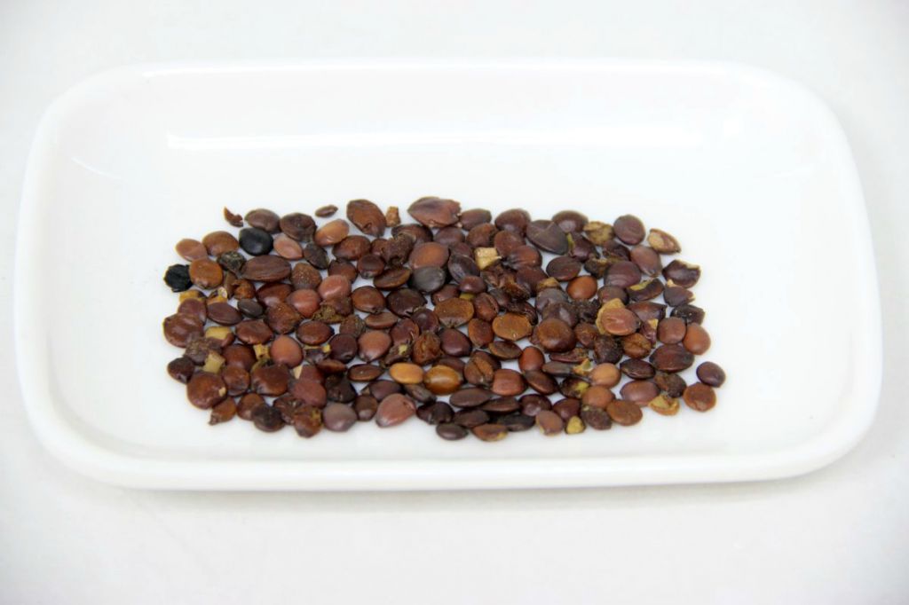 中药养生汤助你摆脱失眠烦恼，轻松享健康