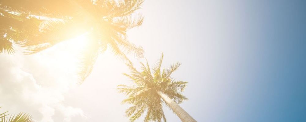 夏季养生攻略来袭！建议收藏，轻松度过夏日