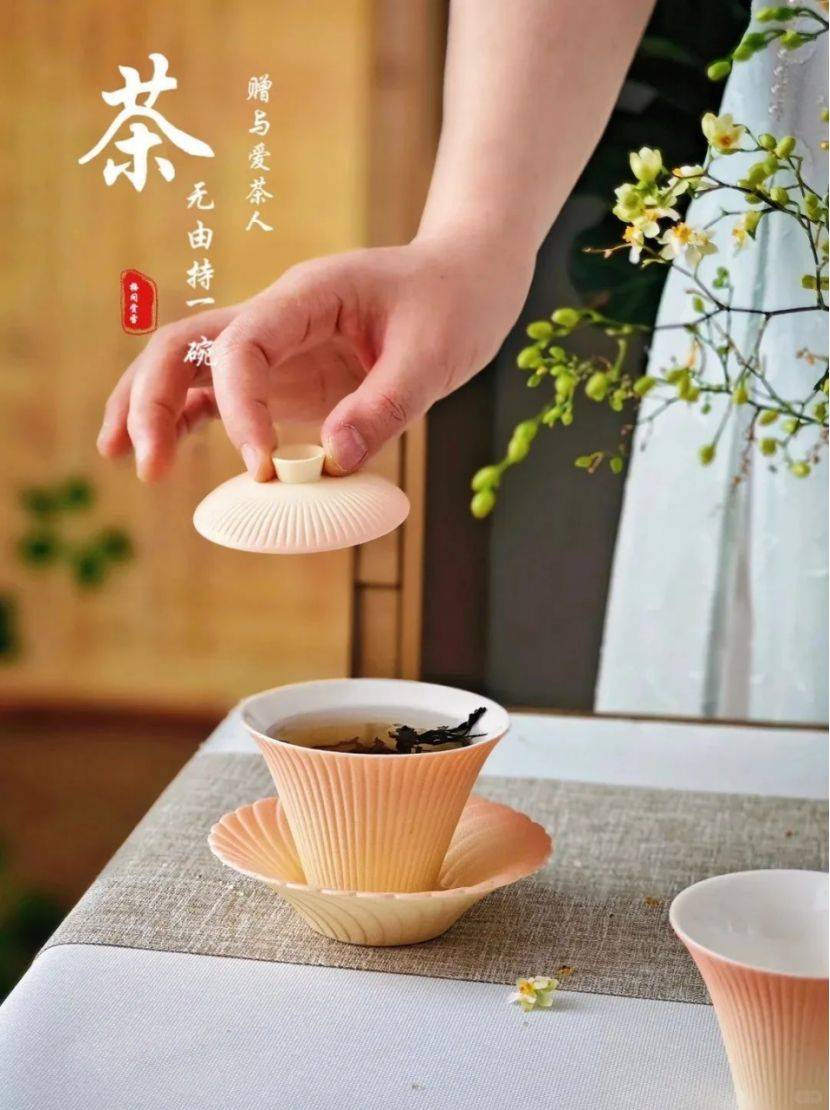 新人入门茶道，你真的需要全套功夫茶具吗？