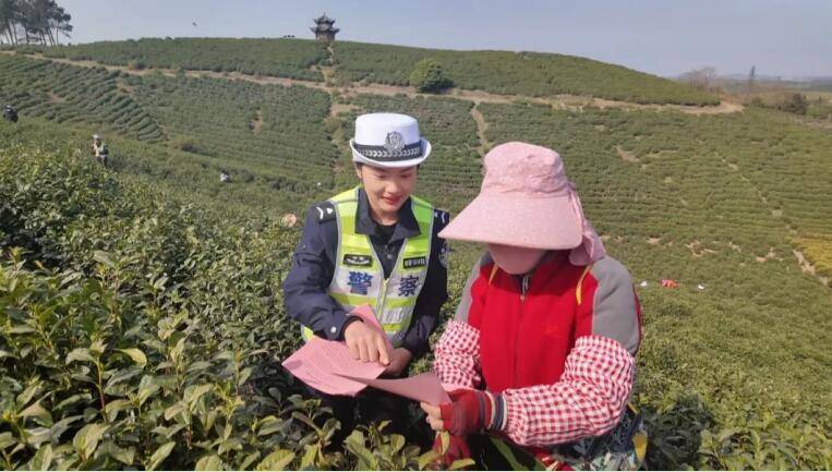 宣城郎溪：交警护航采茶季 筑牢茶农交通安全防线