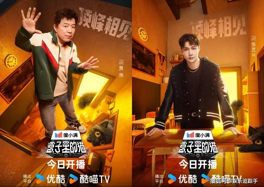 《盒子里的猫》第二季反响平平，缺乏好剧本，实力嘉宾也难以发光