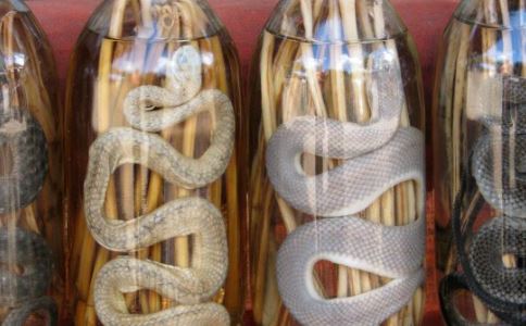 “揭秘壮阳果泡酒的功效及相关信息”